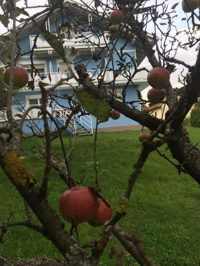 Pension Lipusch Sankt Veit im Jauntal Kültér fotó